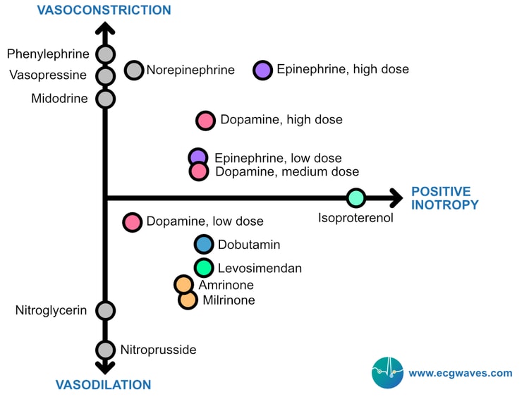 Diagramme situant les inotropes et les vasopresseurs sur deux axes : vasoconstriction et vasodilatation en ordonnée, inotropie positive en abscisse.