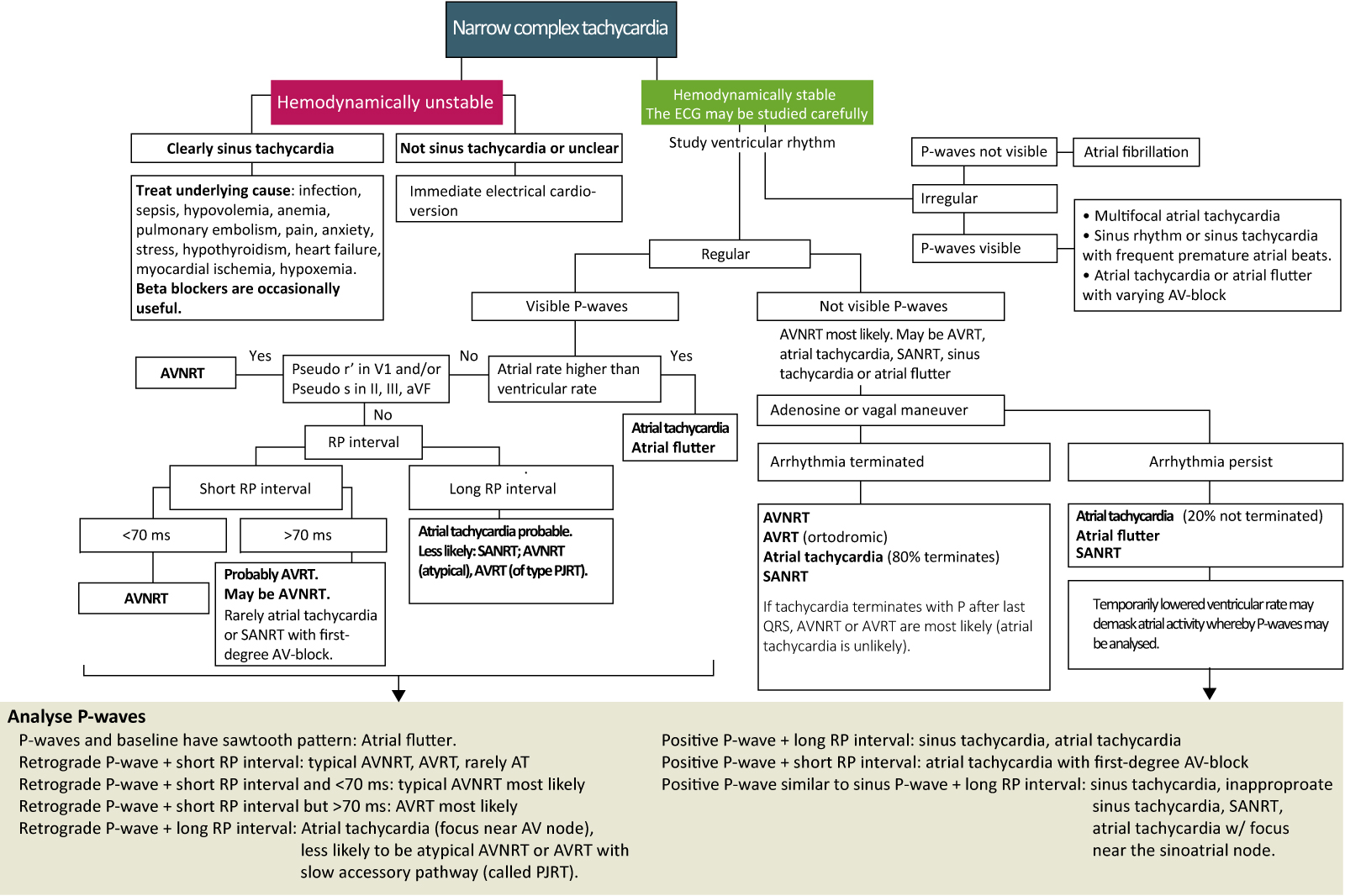 Figure 4 : Prise en charge et diagnostic de la tachycardie à complexe étroit.