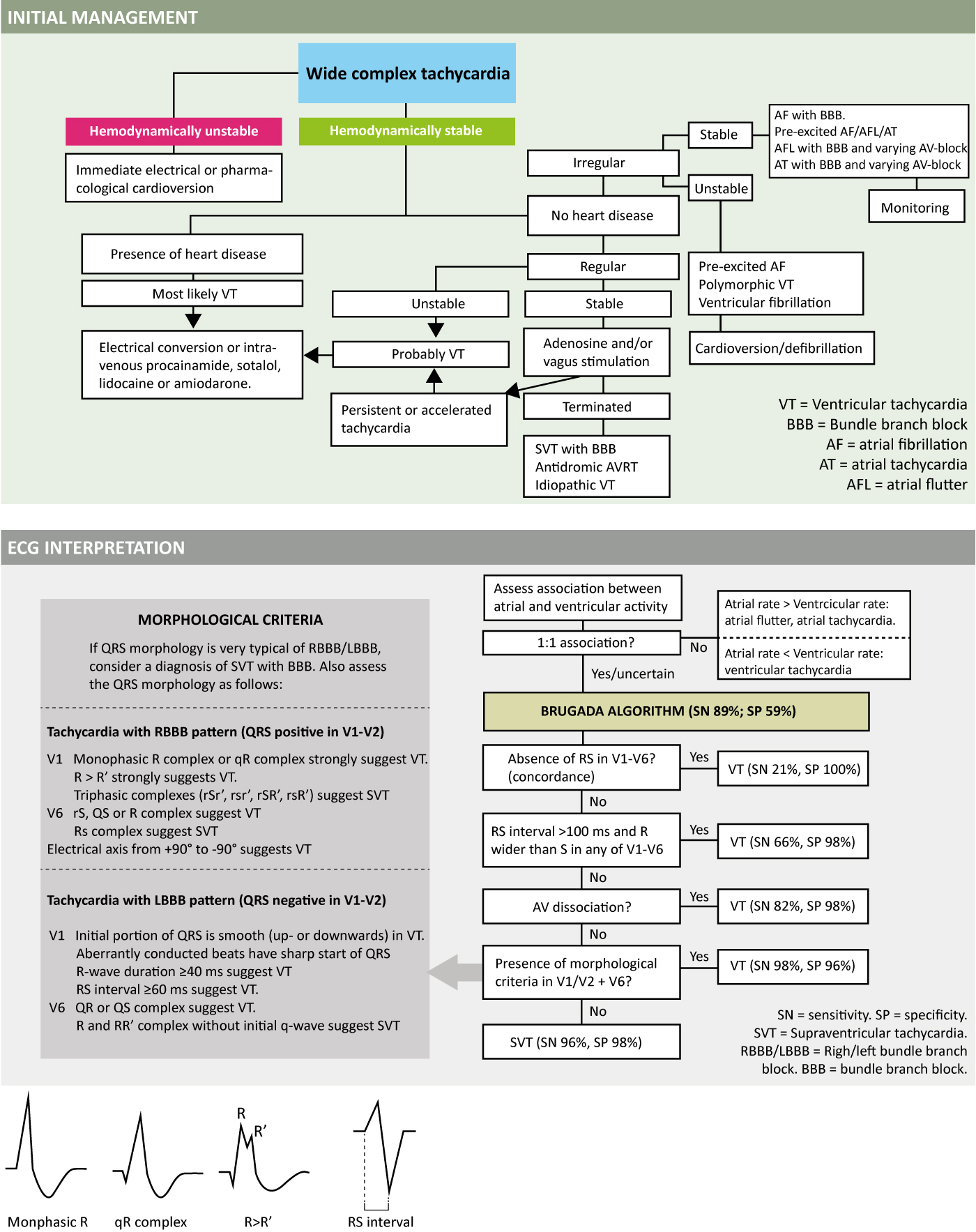 Figure 5 : Prise en charge et diagnostic ECG des tachycardies à complexe large.