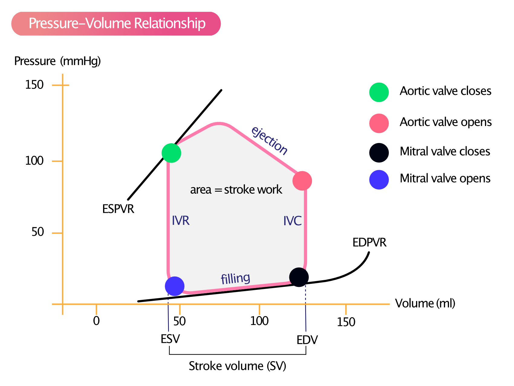 Figure 1. Relation entre la pression et le volume du ventricule gauche au cours d’un seul cycle cardiaque.