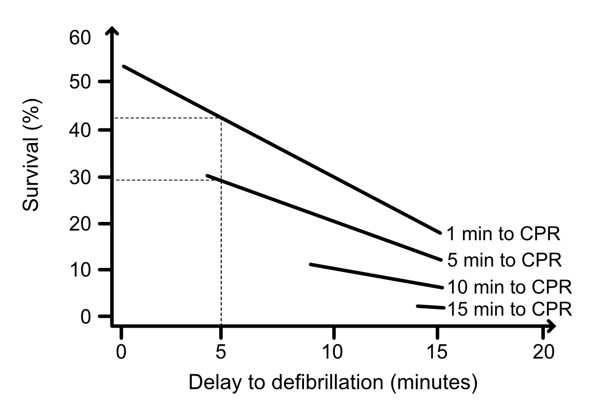 Association entre le temps écoulé avant la RCP et la probabilité d'une défibrillation réussie.