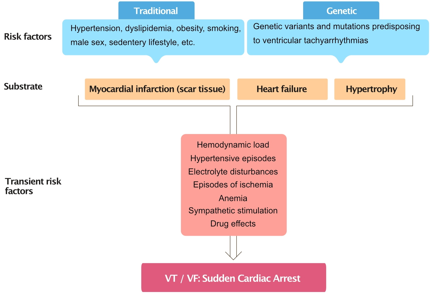 Facteurs de risque de l'arrêt cardiaque soudain – Médecine Cardiovasculaire